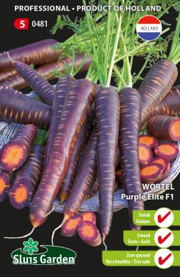 Carrot Purple Elite F1 (Daucus) 400 seeds SL
